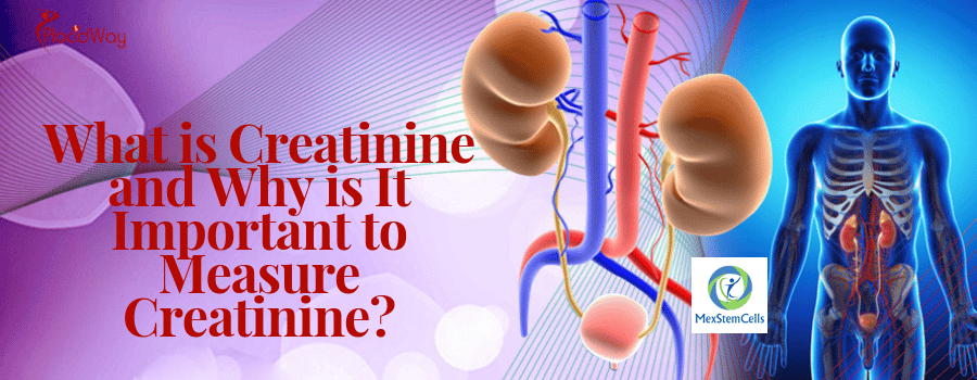 What is Creatinine and Why is It Important to Measure Creatinine